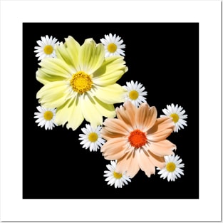 cosmosflower blossom daisy flower tendril daisies bloom Posters and Art